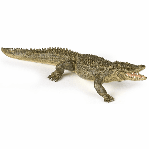 Alligator - Papo Hand Painted Figurine