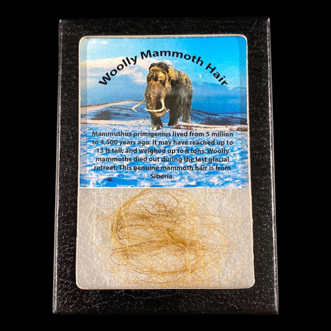 Mammoth Hair